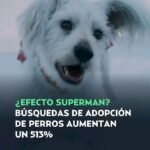 Hoy dimos un paso importante al convertirnos en el primer municipio del estado en firmar una alianza con E-Lab para llevar la Educación Positiva con principios impulsados por la UNESCO a nuestras escuelas.🙌🏻