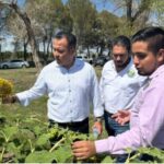 Logra chihuahuense Brenda Lara 5to lugar Mundial de Karate