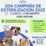 CIENTOS DE NIÑOS Y JÓVENES APRENDEN MÚSICA EN DELICIAS, TENEMOS UNA SINFÓNICA INFANTIL Y JUVENIL, ES UN GRAN CAMBIO SOCIAL, JESÚS VALENCIANO