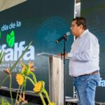 La revelación del gran misterio del trazo