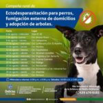 Supera Chihuahua a Canadá en contagios
