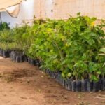 En Delicias queremos reconocer el esfuerzo y talento de nuestra gente 🙌.Participa en el Premio del Deportista del Año 2024 🏅 y el Premio Municipal de la Juventud El Pionero de Delicias 2024 ✨.