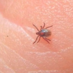 🚨 Lamentablemente mientras filmaba una acrobacia en ‘Spider-man: Brand New Day’, Tom Holland se cayó y se golpeó fuertemente la cabeza contra el suelo. Fue llevado a emergencias y ahí permanece en revisión.