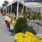 🏈💪 ¡Seguimos impulsando el deporte en las escuelas! 💪🏈