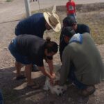 Inhabilitan a 5 empresas por falsificar documentos