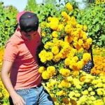 ¿Has vivido una pérdida y necesitas encontrar consuelo y esperanza?Únete a nosotros para una noche inolvidable de música y reflexión con MARIO ALBERTO PÉREZ en su concierto “Se Vive al Morir”. Más que un concierto, es una conversación sobre el Duelo, el amor y la vida.