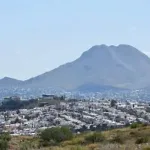 Medio siglo de tradición florece en los campos de cempasúchil de la familia Calleja en Chihuahua