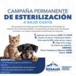 PEPE ANDUJO, COMPROMISO ECOLÓGICO🌱🌳 Impulsamos la cultura ambiental en nuestras escuelas🌳🌿