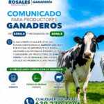 🚨|🚨#ÚLTIMAHORA Después de la agresión contra la alcaldesa de Cuauhtémoc, Alessandra Rojo de la Vega, medios informan que al menos seis policías capitalinos resultaron heridos en la Zona Rosa de la Ciudad de México durante un ataque por el que ya se señala a la figura política trans Diana Sánchez Barrios.